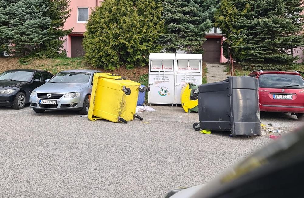 FOTO: Problémy s diviakmi na žilinskom sídlisku Hájik, foto 4
