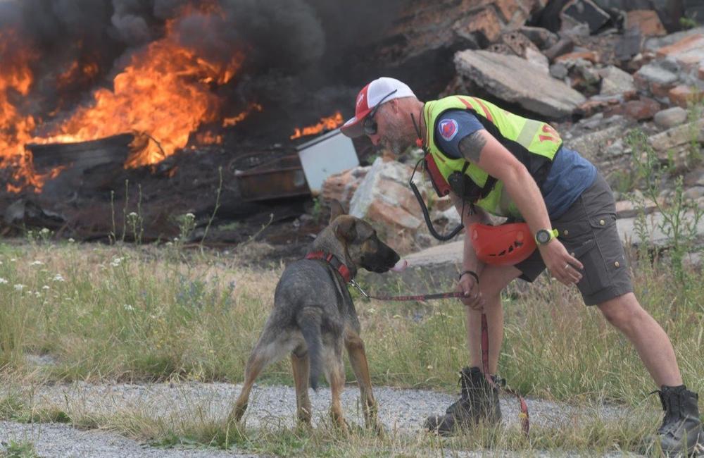 FOTO: HZS začala s výcvikom mladých psov, ktorí budú pomáhať s hľadaním nezvestných osôb, foto 5