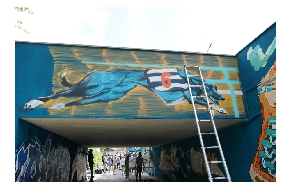 FOTO: Podchod na sídlisku Vlčince skrášlilo viac ako 30 street a graffiti umelcov z celého Slovenska, foto 14