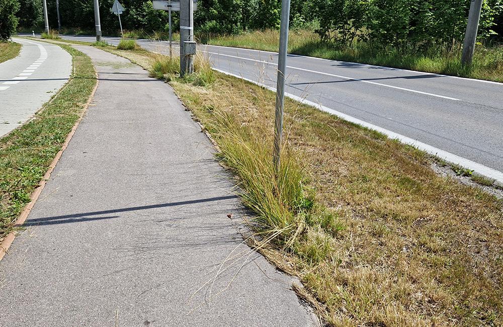 FOTO: Po kosení trávy pri žilinskom lesoparku zostala tráva na chodníkoch a skládky v kríkoch, foto 3