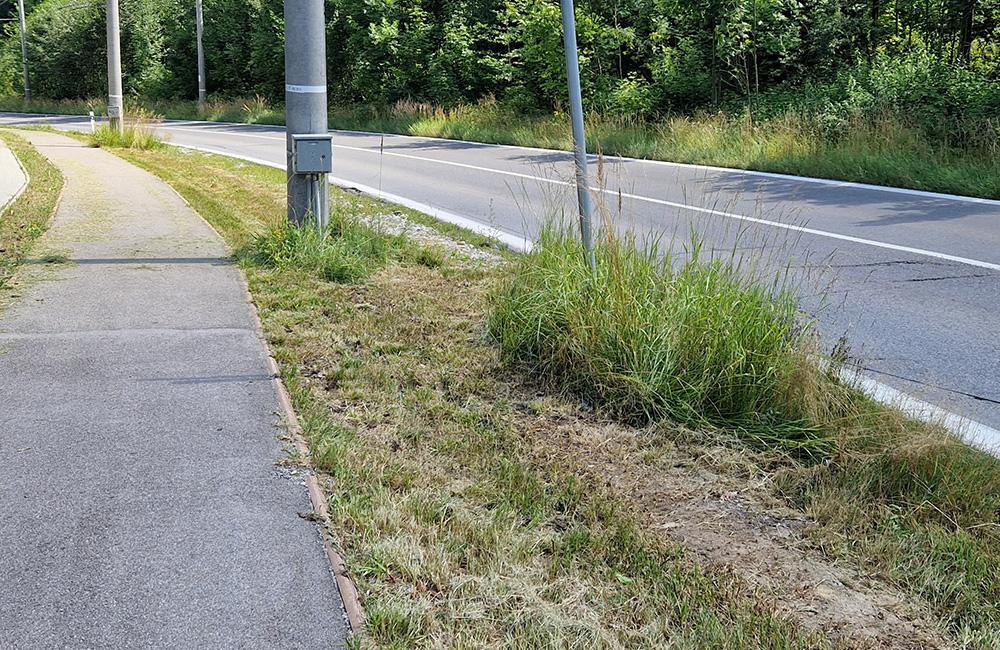 FOTO: Po kosení trávy pri žilinskom lesoparku zostala tráva na chodníkoch a skládky v kríkoch, foto 5