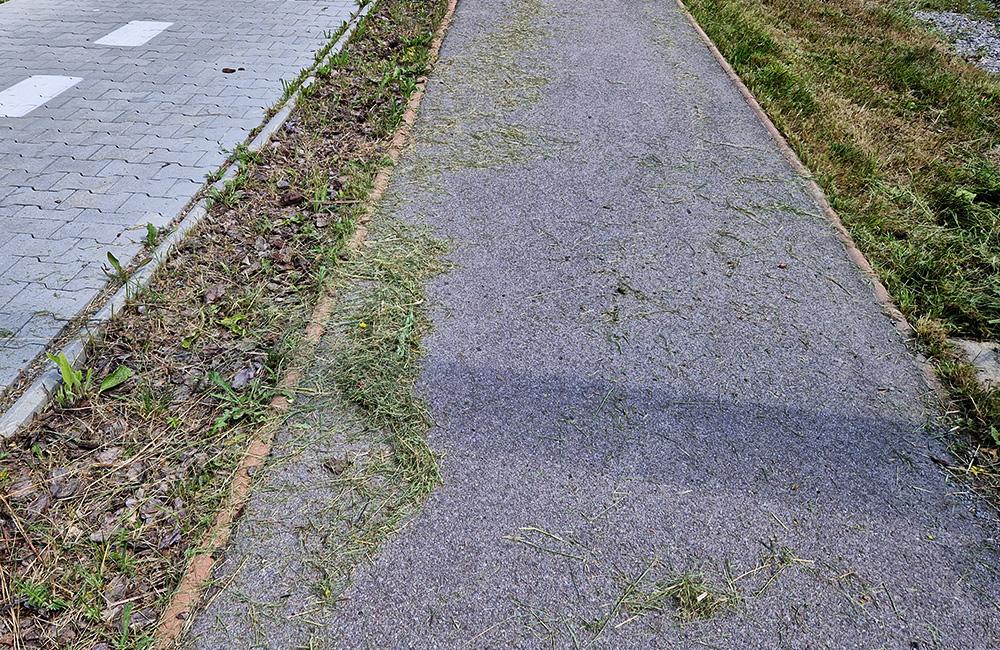 FOTO: Po kosení trávy pri žilinskom lesoparku zostala tráva na chodníkoch a skládky v kríkoch, foto 6