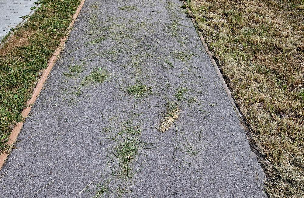 FOTO: Po kosení trávy pri žilinskom lesoparku zostala tráva na chodníkoch a skládky v kríkoch, foto 7
