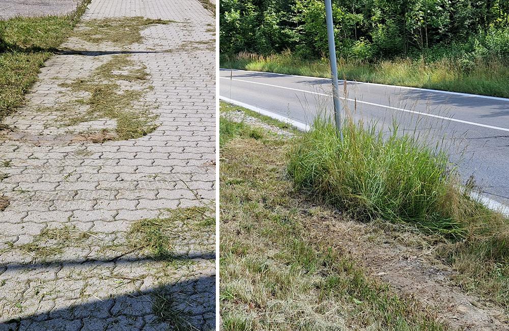 FOTO: Po kosení trávy pri žilinskom lesoparku zostala tráva na chodníkoch a skládky v kríkoch, foto 1
