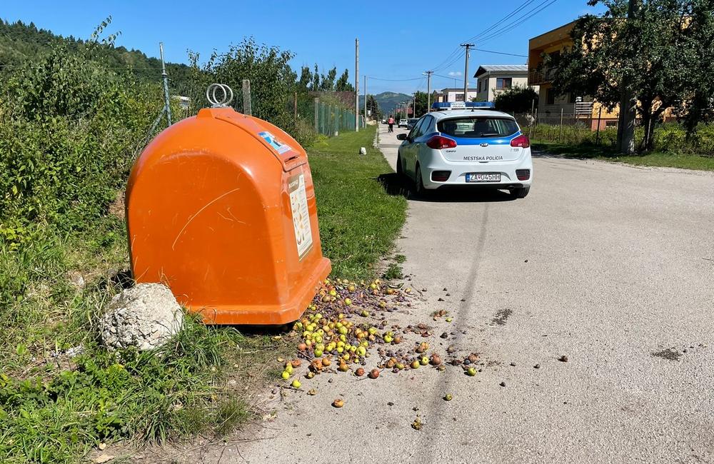 FOTO: Diviaky v žilinskej mestskej časti Bánová prevrátili ďalší kôš, foto 7