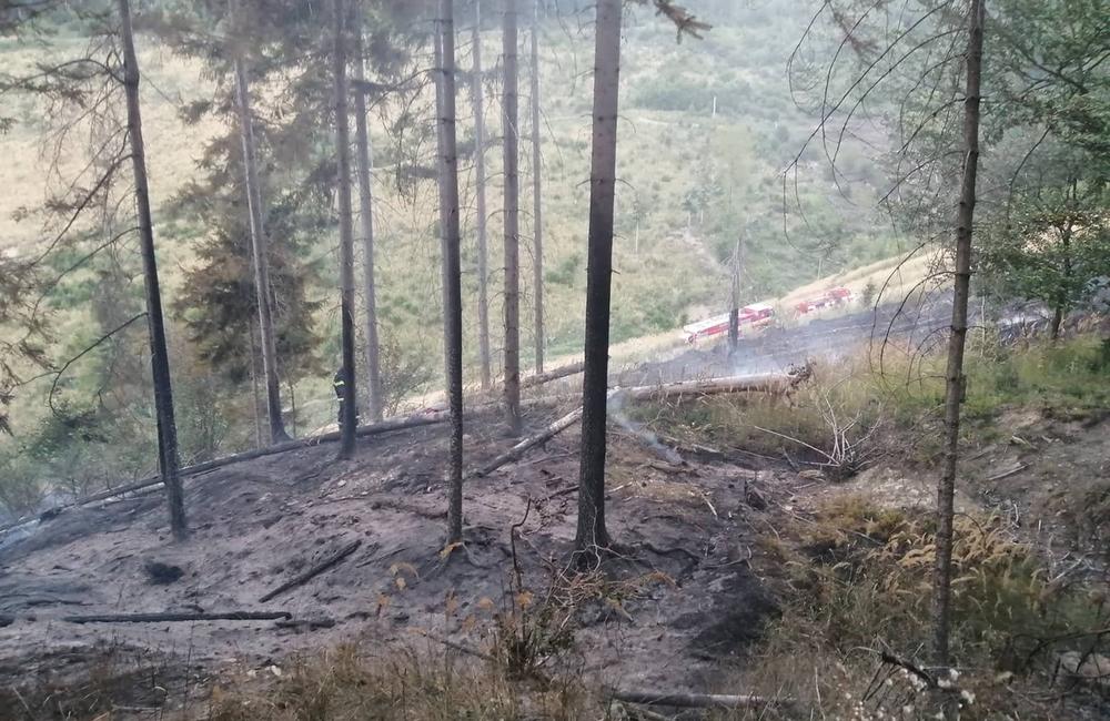FOTO: Hasenie lesa nad Kysuckým Novým Mestom, foto 2