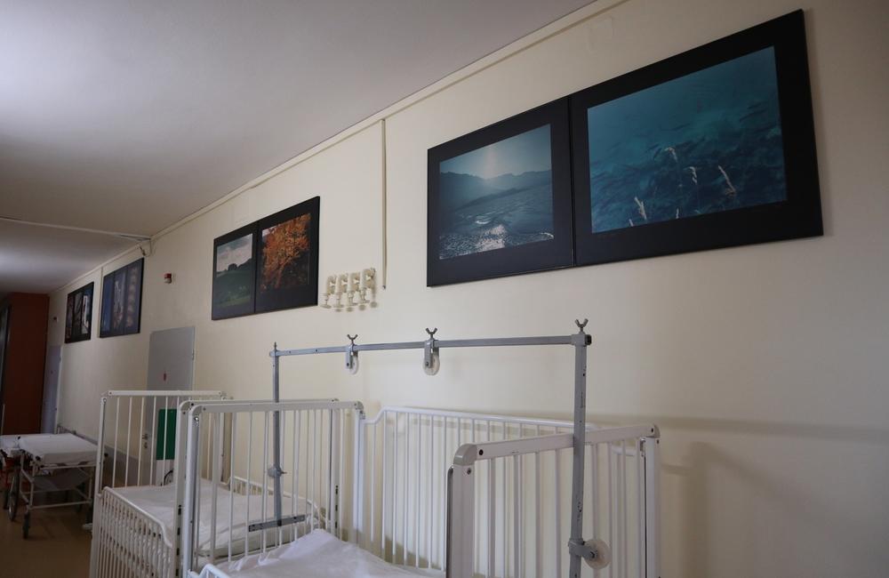 FOTO: V žilinskej nemocnici otvorili výstavu obrazov a fotografií, foto 4