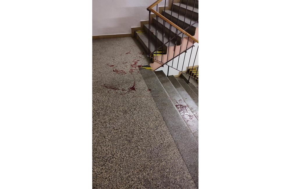 Agresívny študent po plese na UNIZA rozbil dvere internátov a zranil si nohu, foto 5