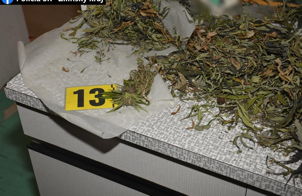 FOTO: Kriminalisti obvinili 31-ročného Erika zo Žiliny, pestoval marihuanu v skleníku , foto 5