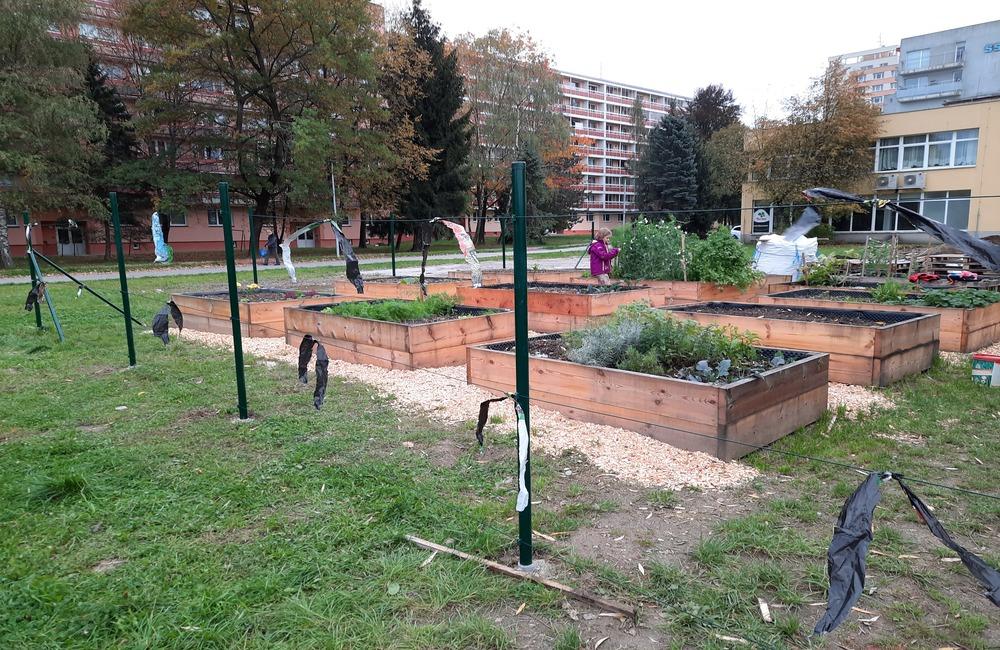 FOTO: Žilinská komunitná záhradka ZaKoZa má za sebou prvú sezónu, foto 4