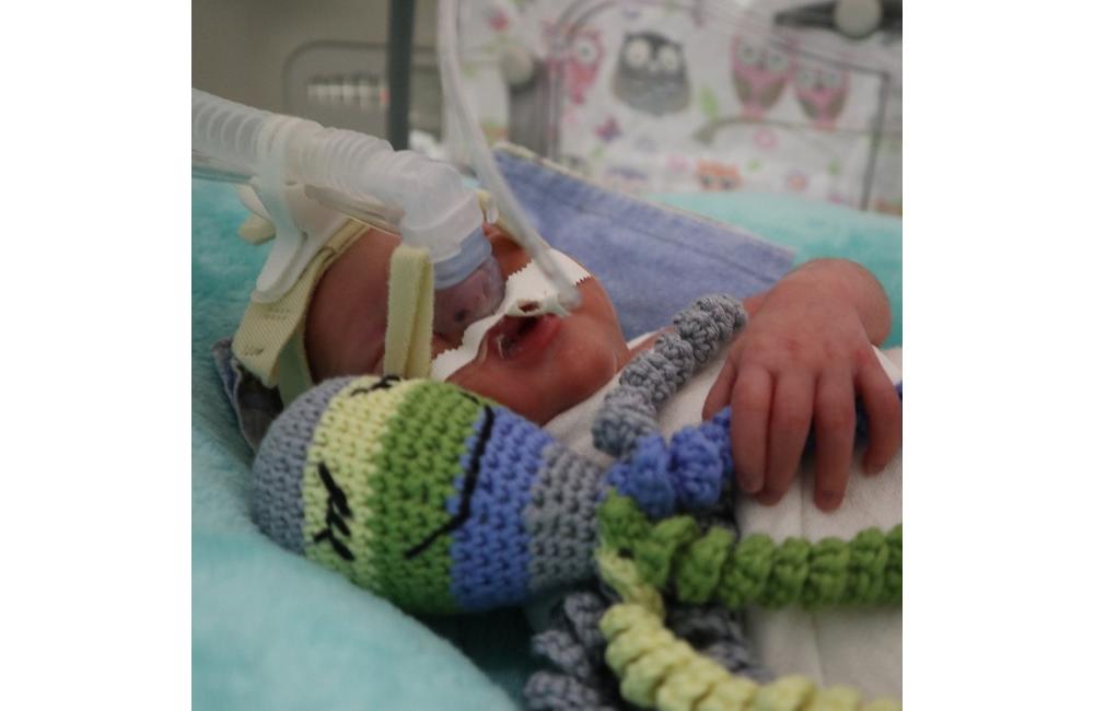 FOTO: Bábätká narodené v žilinskej nemocnici 1. januára 2023, foto 4