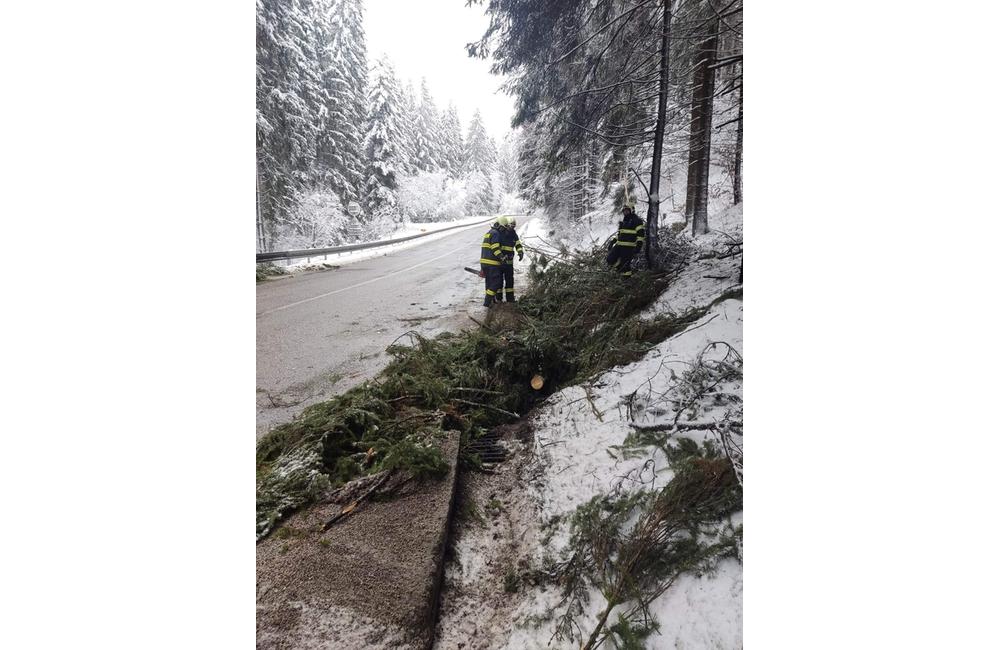 FOTO: Odstraňovanie spadnutého stromu na ceste I/65, foto 1