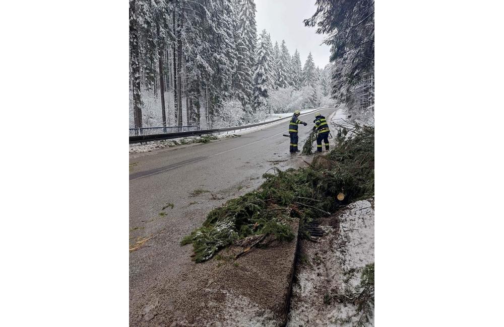 FOTO: Odstraňovanie spadnutého stromu na ceste I/65, foto 3