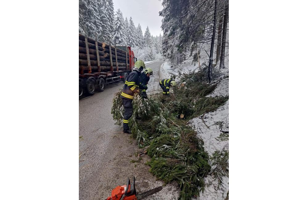 FOTO: Odstraňovanie spadnutého stromu na ceste I/65, foto 2