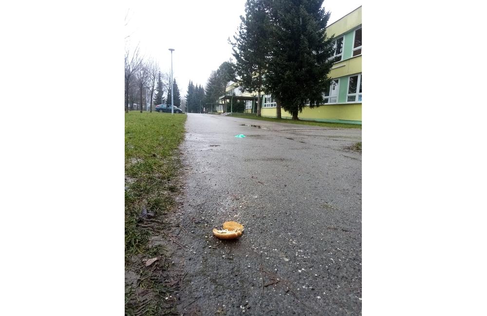 FOTO: Jedlo rozhádzané okolo základných škôl, foto 3