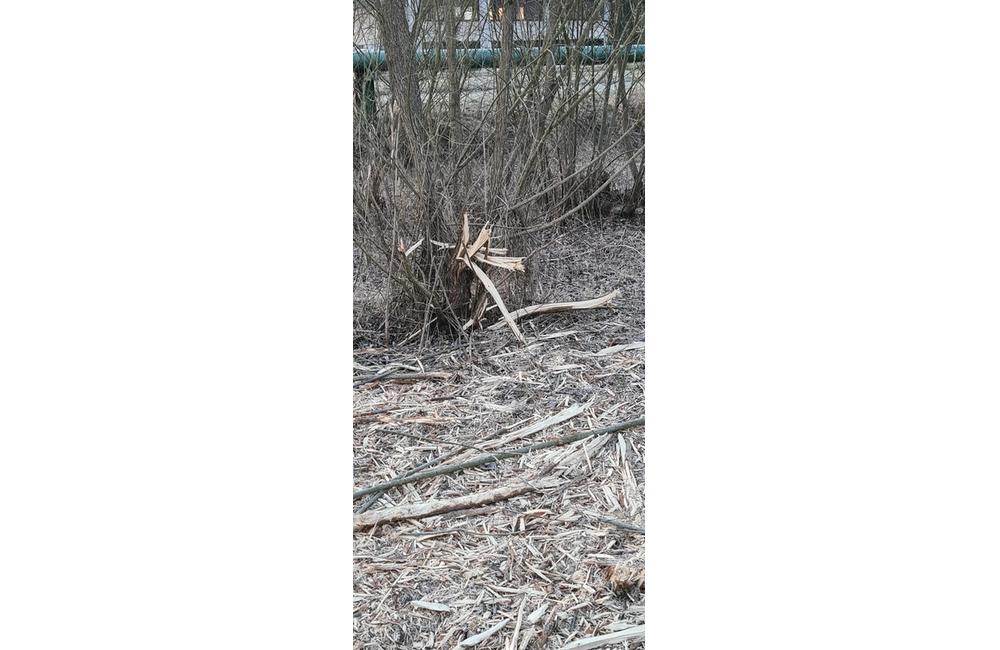 FOTO: Orezané konáre a polámané dreviny v Lesoparku Chrasť, foto 12
