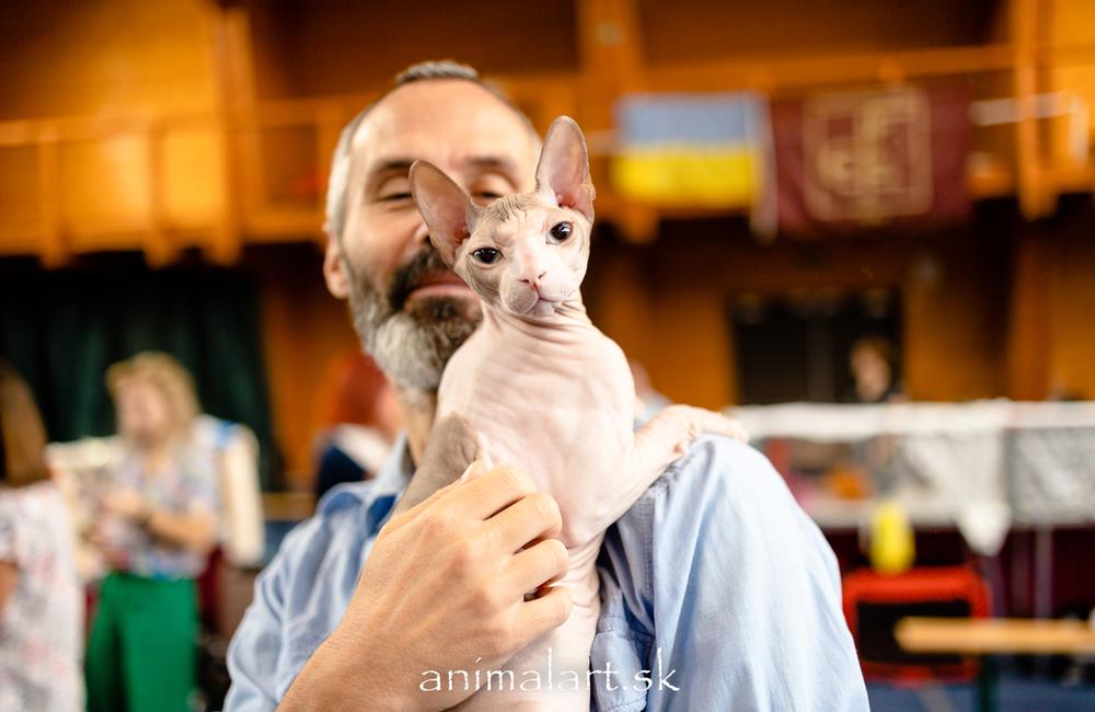FOTO: V Žiline sa uskutoční medzinárodná výstava mačiek, foto 19