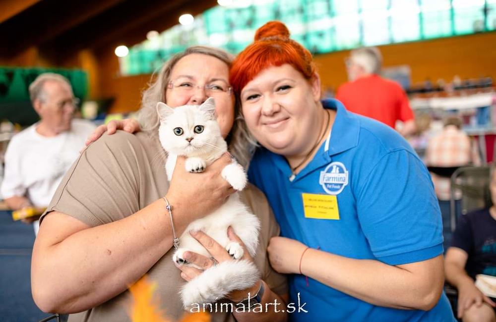 FOTO: V Žiline sa uskutoční medzinárodná výstava mačiek, foto 22
