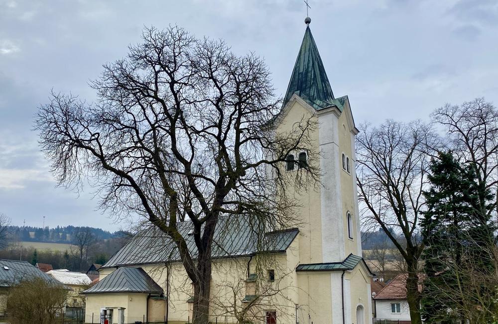 FOTO: Archeologický nález v kostole v Brodne, foto 2