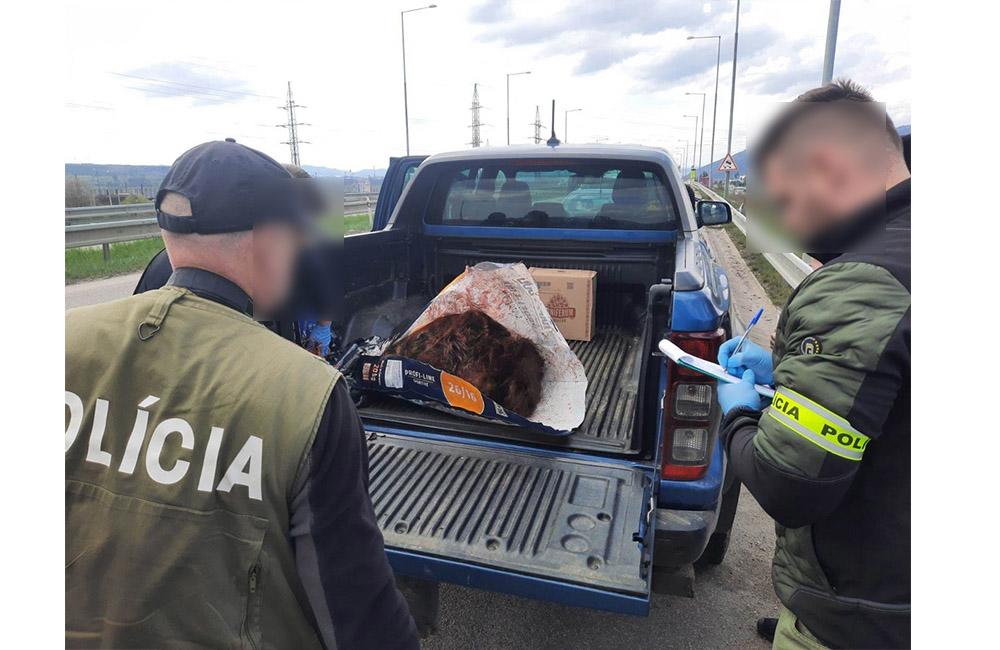 FOTO: Nelegálne zastrelená medvedica, ktorú prevážali traja Česi, foto 1