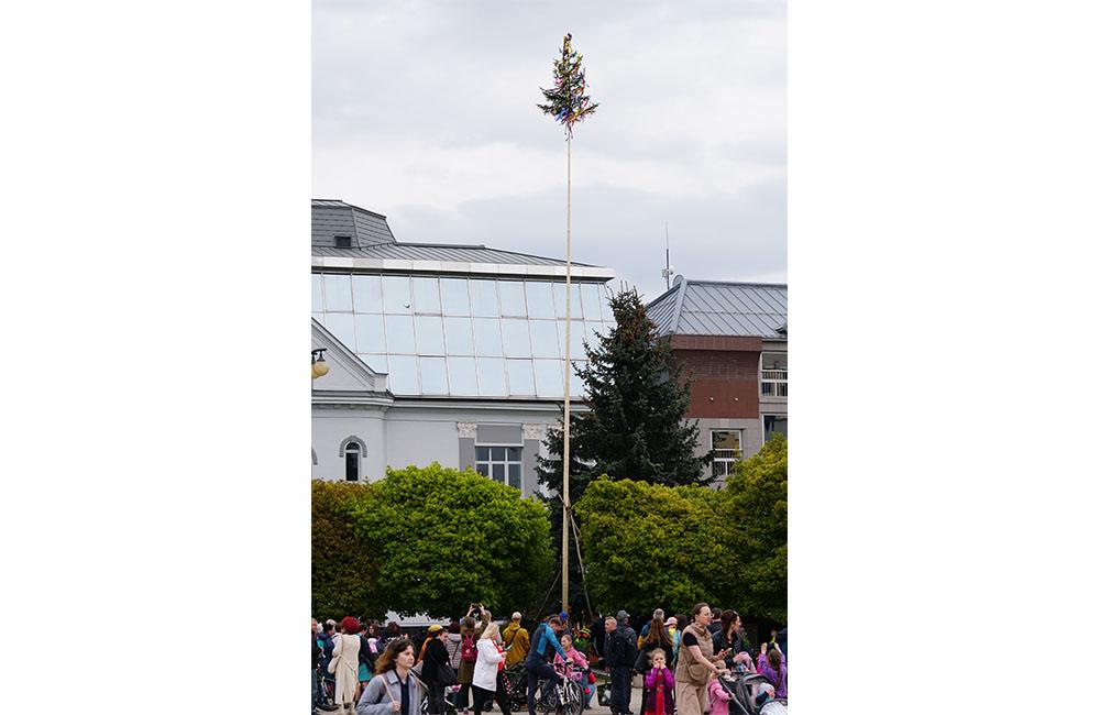 FOTO: Na Námestí Andreja Hlinku v centre Žiliny dnes postavili máj, foto 8