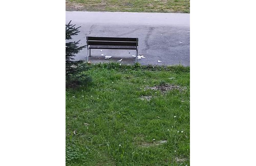 FOTO: Odpad a výkaly pri lavičkách na Bajzovej ulici, foto 2