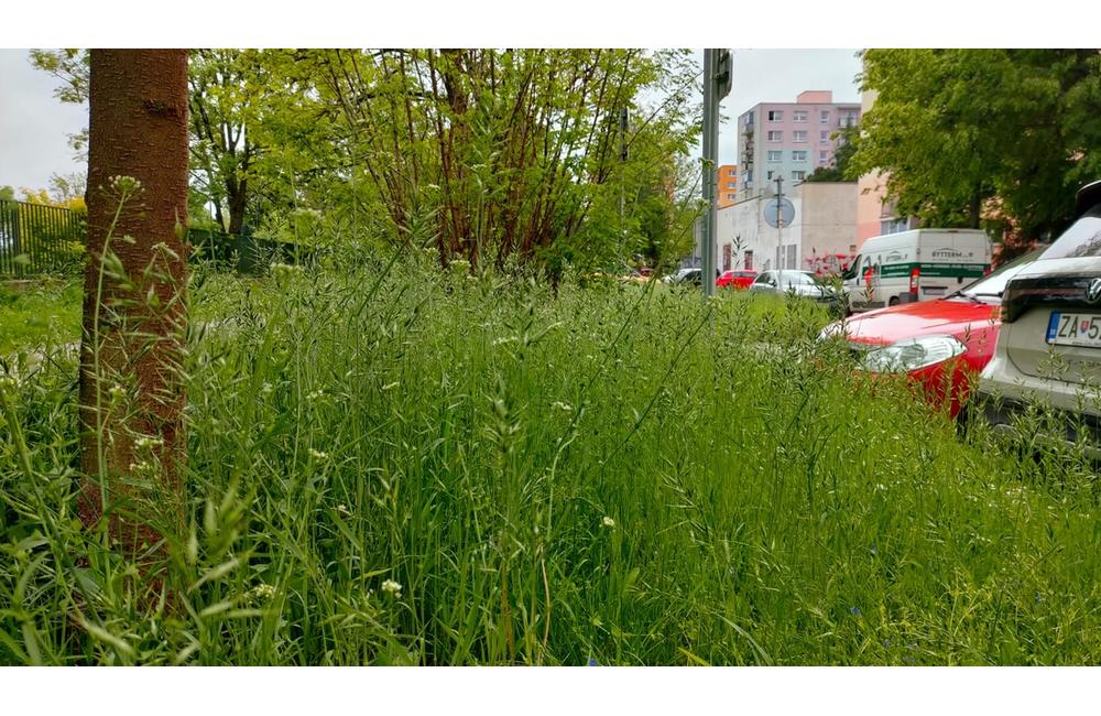 FOTO: Kosenie trávnikov v Žiline, foto 5