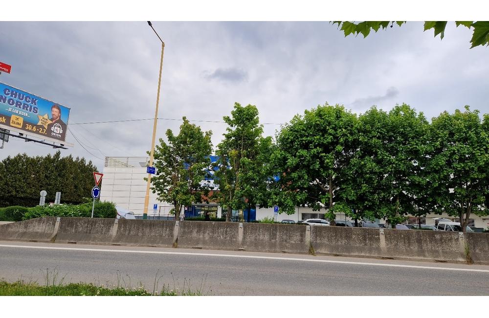 FOTO: Ako vyzerajú stromy, ktoré neznáma osoba poškodila pred reklamou na ulici Vysokoškolákov, foto 1