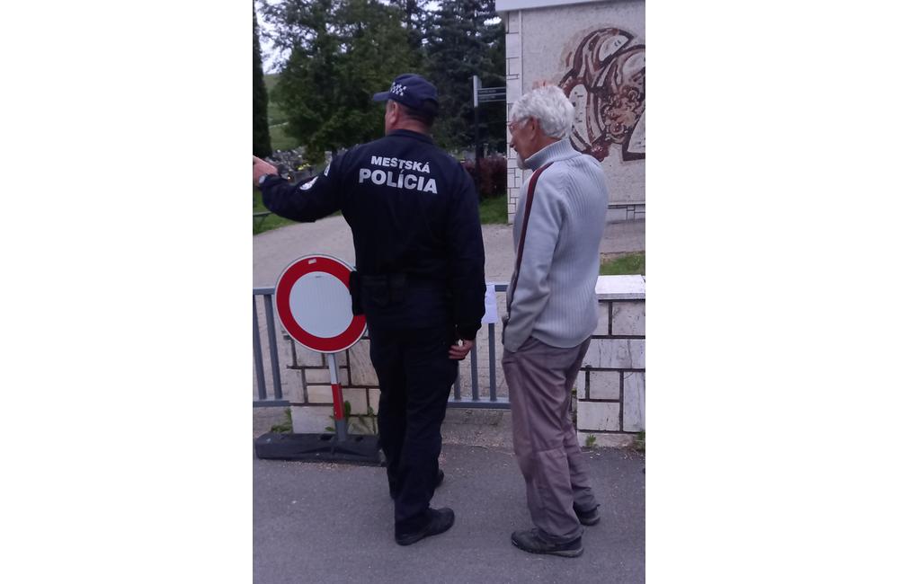 FOTO: Vyčíňanie medveďov na cintoríne v Ružomberku, foto 4