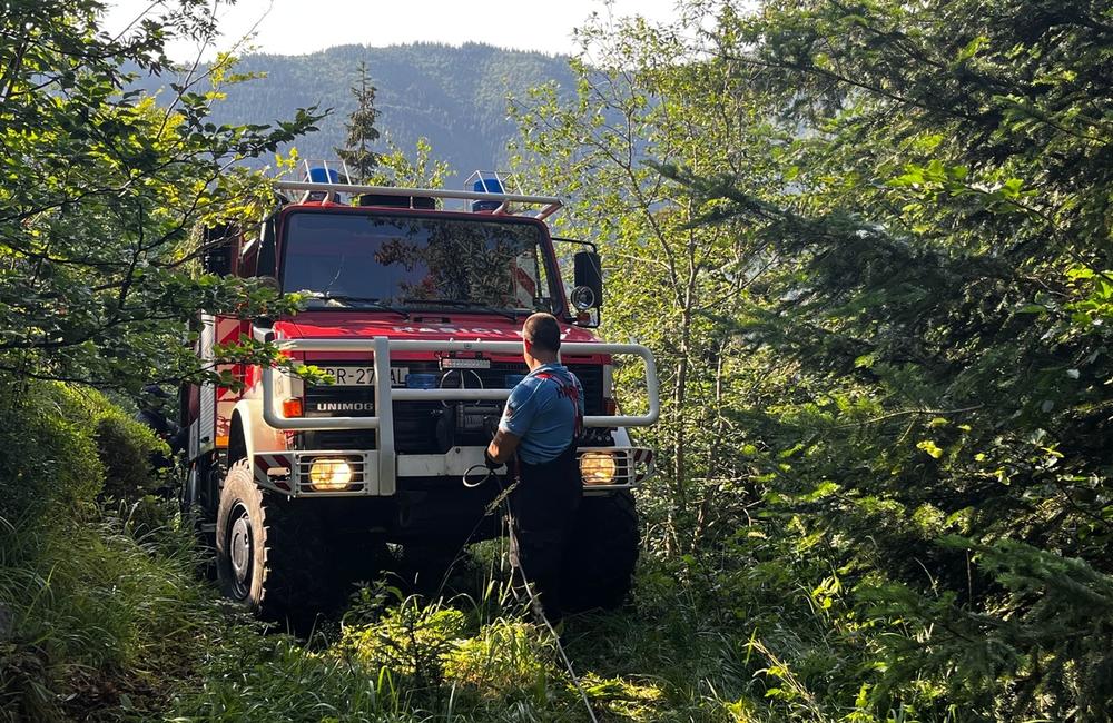 FOTO: Požiar v Nízkych Tatrách, zasahuje 17 hasičov, foto 2