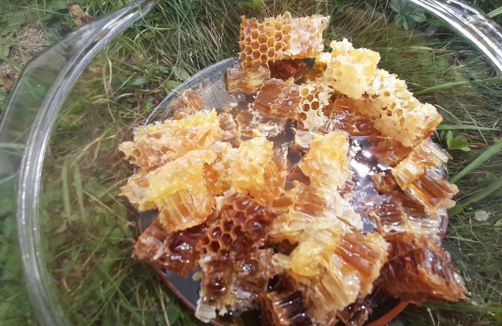 FOTO: Včelárska nedeľa vo vychylovke, foto 5
