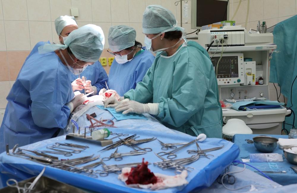 FOTO: V žilinskej nemocnici pacientovi s rakovinou vyoperovali hrtan, foto 10