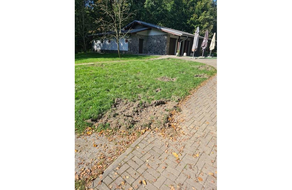 FOTO: Ihrisko v lesoparku rozryli diviaky, foto 2
