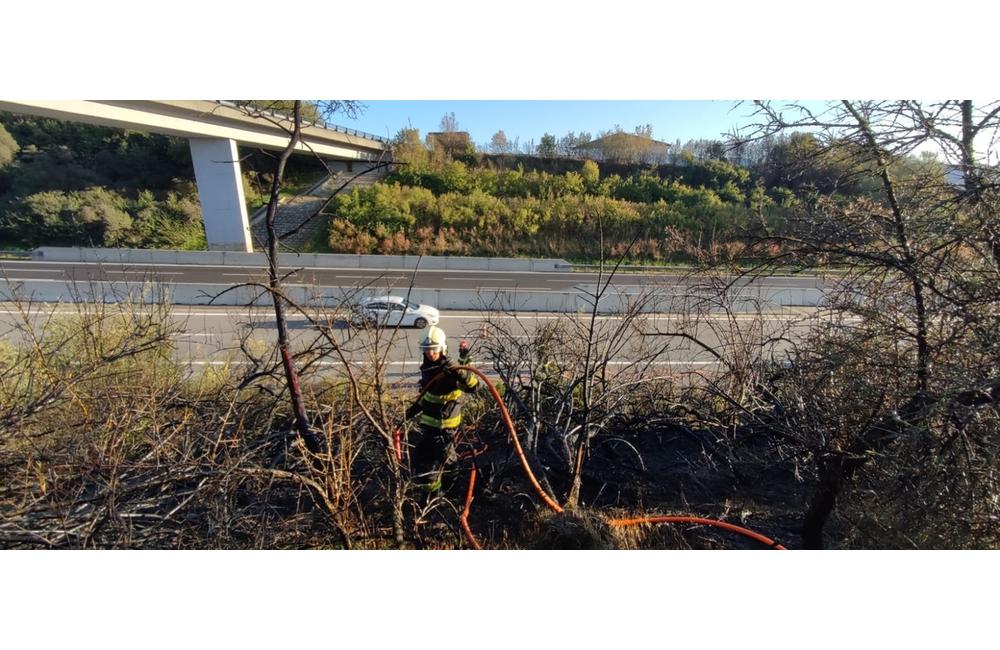 FOTO: Zásah hasičov pri požiari v blízkosti diaľnice, foto 5