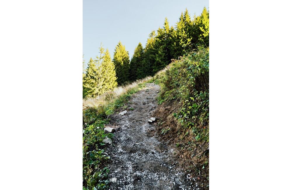 FOTO: Zveľadený chodník na Poludňový Grúň, foto 5
