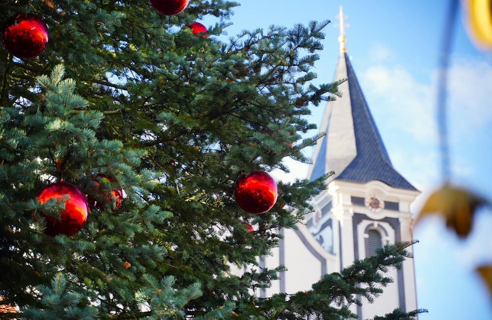 FOTO: Vianočný stromček na Mariánskom námestí, foto 2