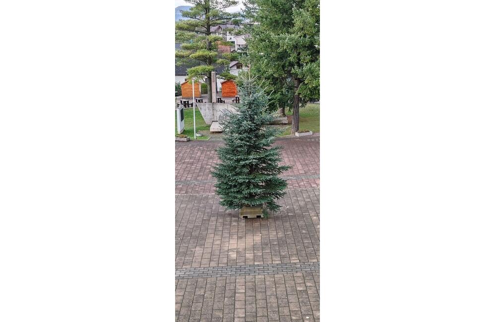 FOTO: V Stráňavách už majú vianočný stromček, foto 1