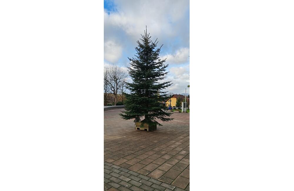 FOTO: V Stráňavách už majú vianočný stromček, foto 3