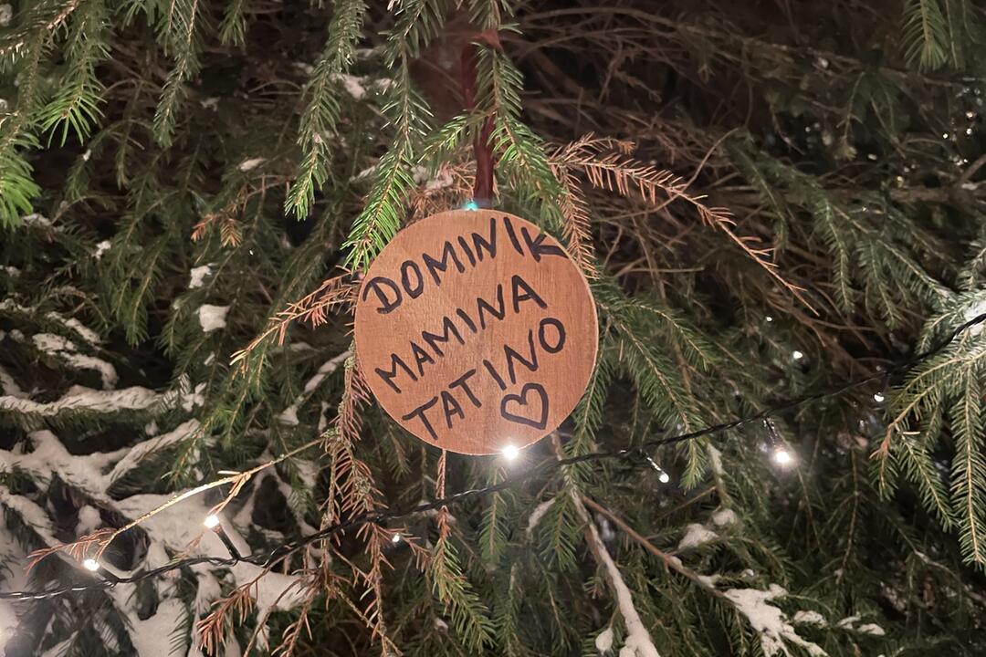 FOTO: V žilinskom lesoparku rozsvietili vianočný stromček, foto 2