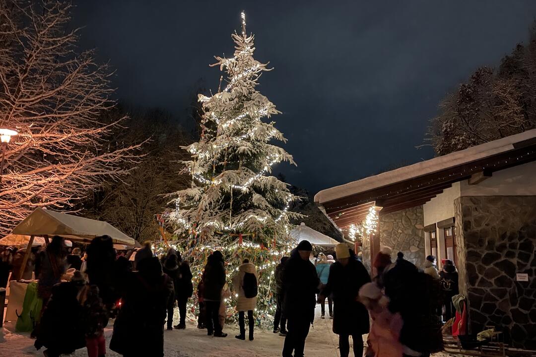 FOTO: V žilinskom lesoparku rozsvietili vianočný stromček, foto 11