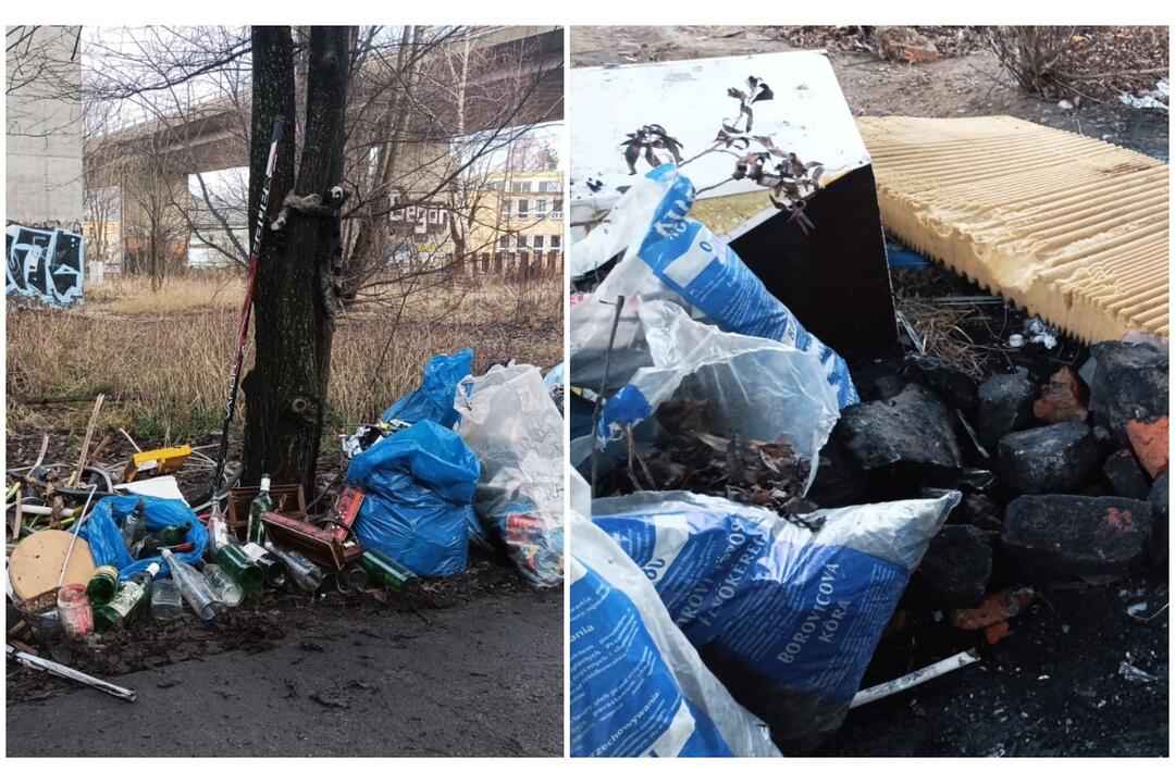 FOTO: Vyhádzaný odpad vo Framborskom parku, foto 17