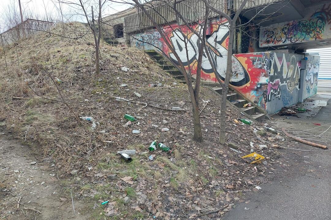 FOTO: Vyhádzaný odpad vo Framborskom parku, foto 14