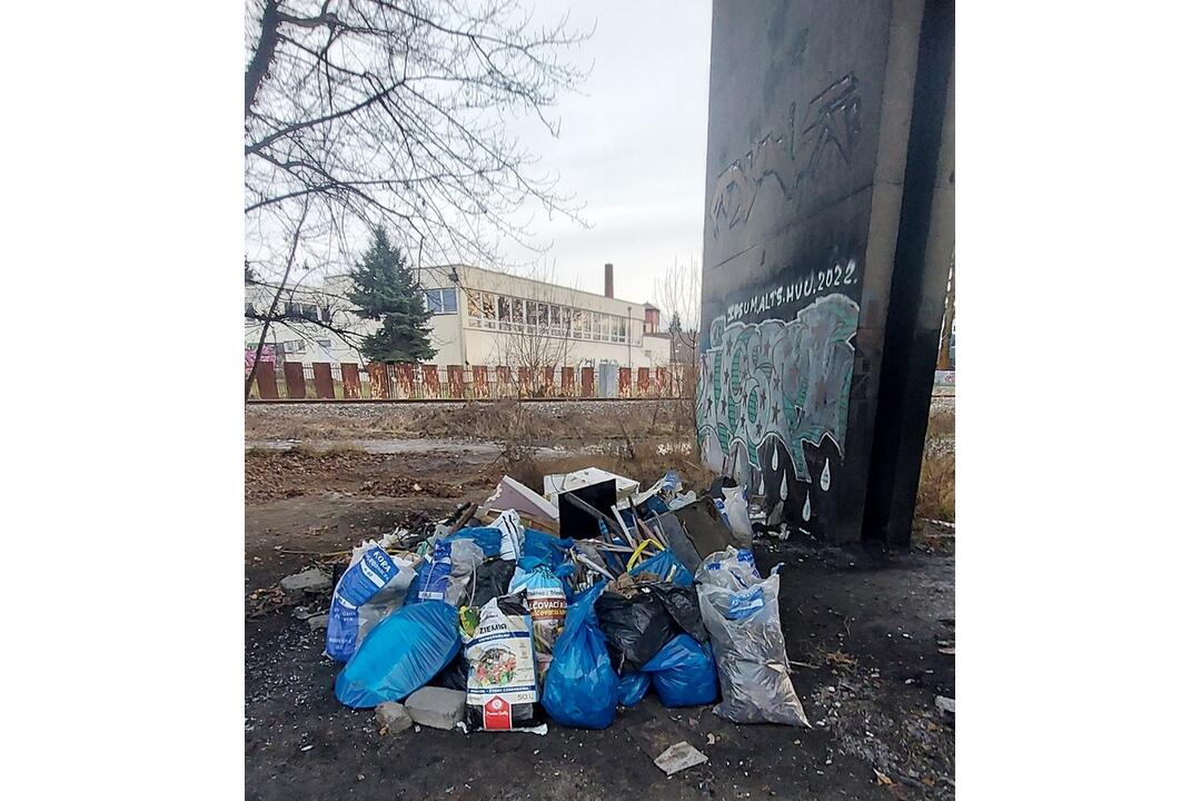 FOTO: Vyhádzaný odpad vo Framborskom parku, foto 20