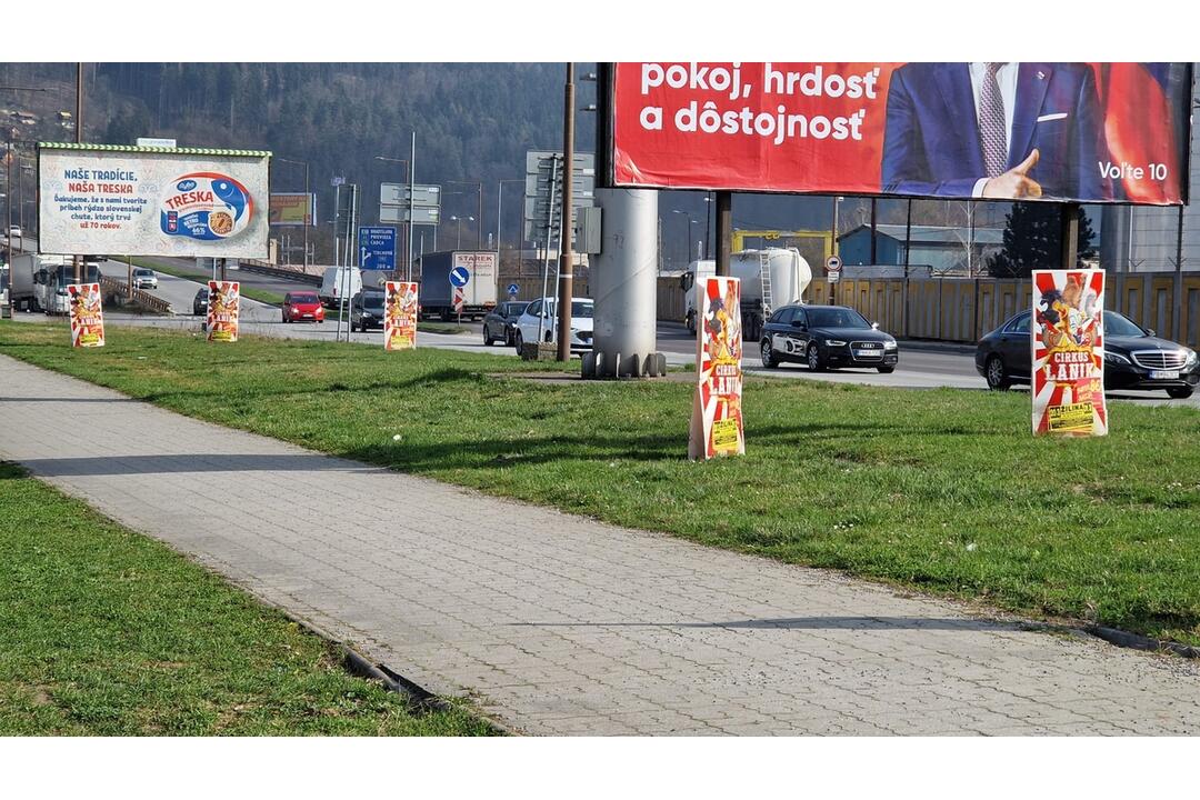 FOTO: V Žiline sa roztrhlo vrece s reklamnými pútačmi na cirkus, foto 5