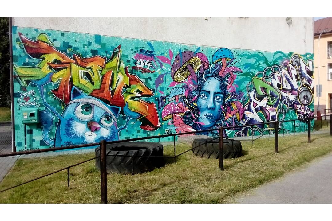 FOTO: Do Čadce sa vrátil projekt JAM4PEOPLE, pozrite si maľby talentovaných umelcov, foto 2