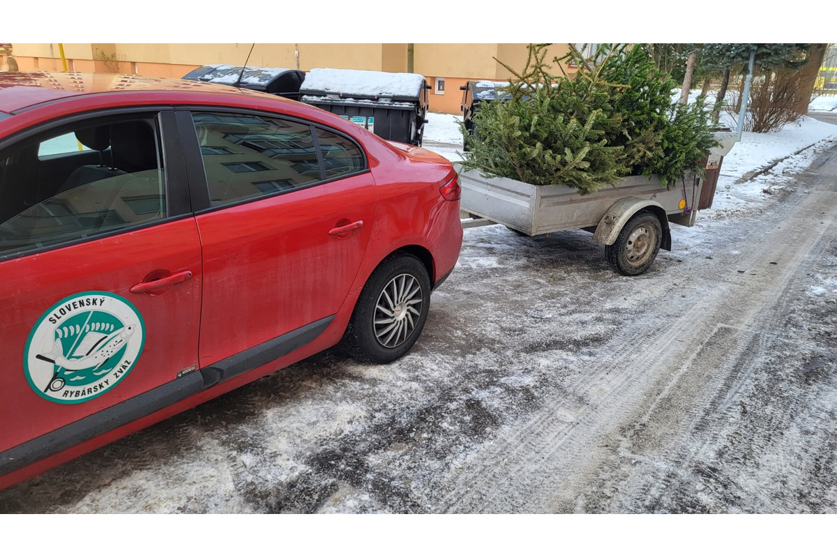 FOTO: Rybárski hospodári našli vianočným stromčekom nové využitie, foto 2