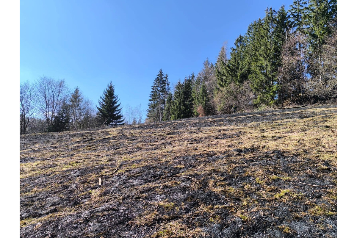FOTO: Požiar trávy na Orave sa podarilo zastaviť pred lesom, foto 4
