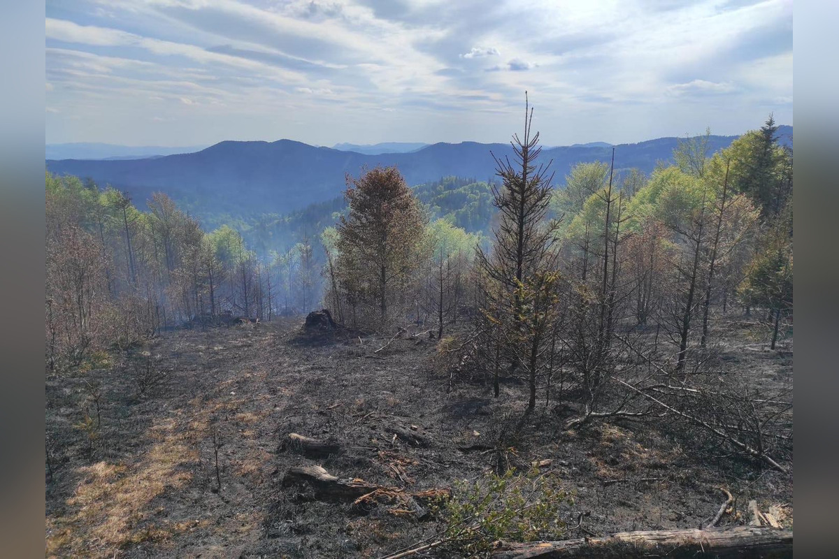 FOTO: Pri Štiavniku horelo 15 hektárov lesného porastu, foto 2