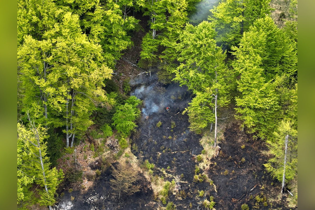 FOTO: Pri Štiavniku horelo 15 hektárov lesného porastu, foto 7