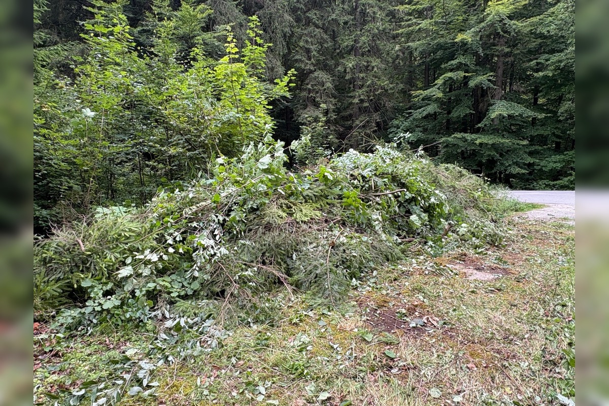 FOTO: Letný pokrok a návštevy na Zámku Kunerad, foto 19